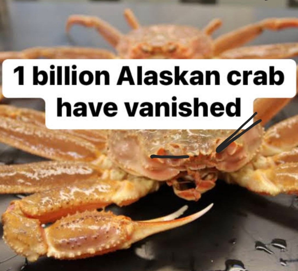 1 BILLION Crabs Have Been Vanished In Past 2 YEARS&nbsp;….